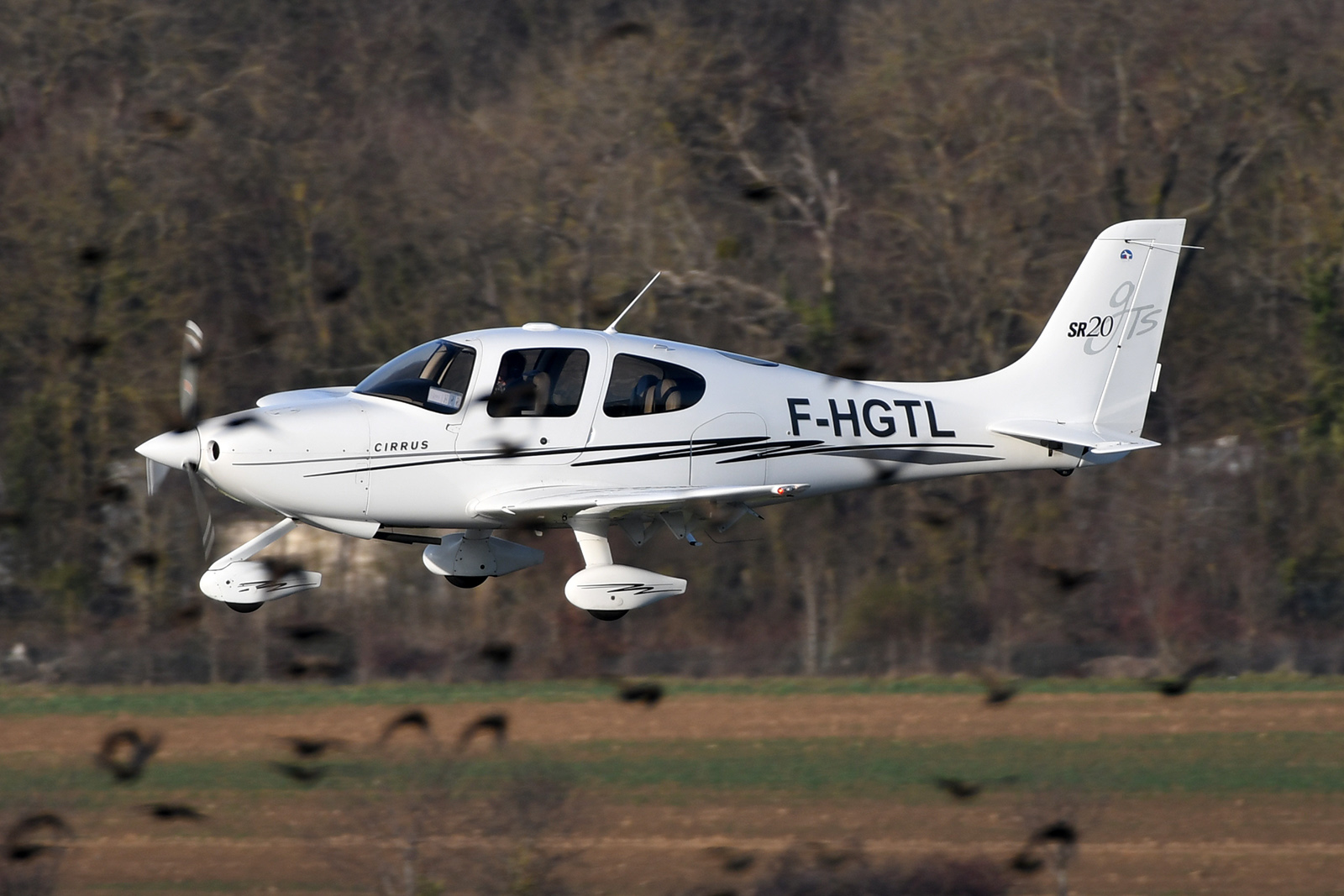 Le Cirrus SR20